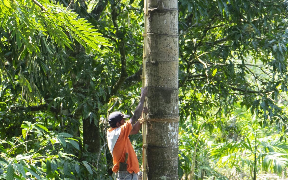 ecolanka villa sri lanka ecotourisme 92